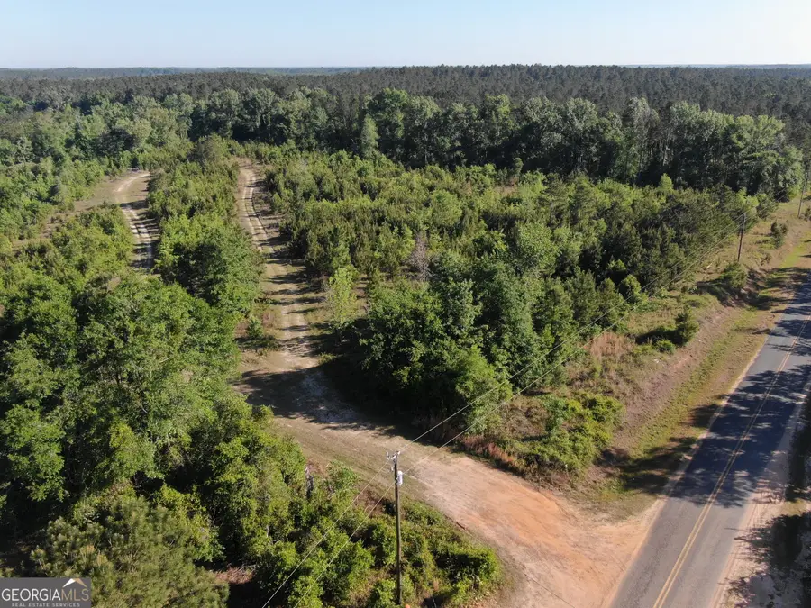 1451 Dr Mann Road, Jacksonville, GA 31544 - #2