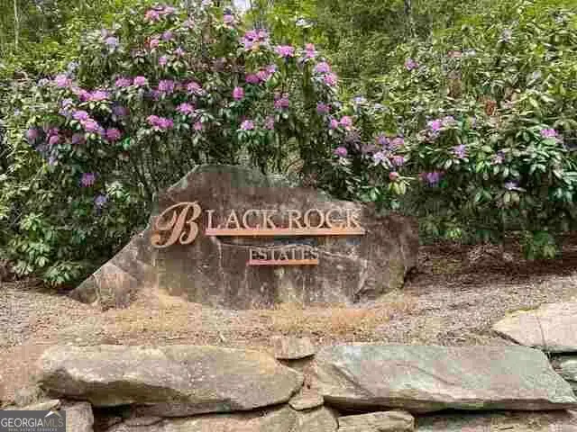 0 Yellow Trillium Estates #LOT 40, Clayton, GA 30525 - #2