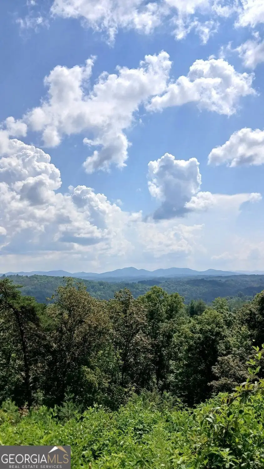 LOT 23 Mountain Laurel Ridge, Mineral Bluff, GA 30559 - #1