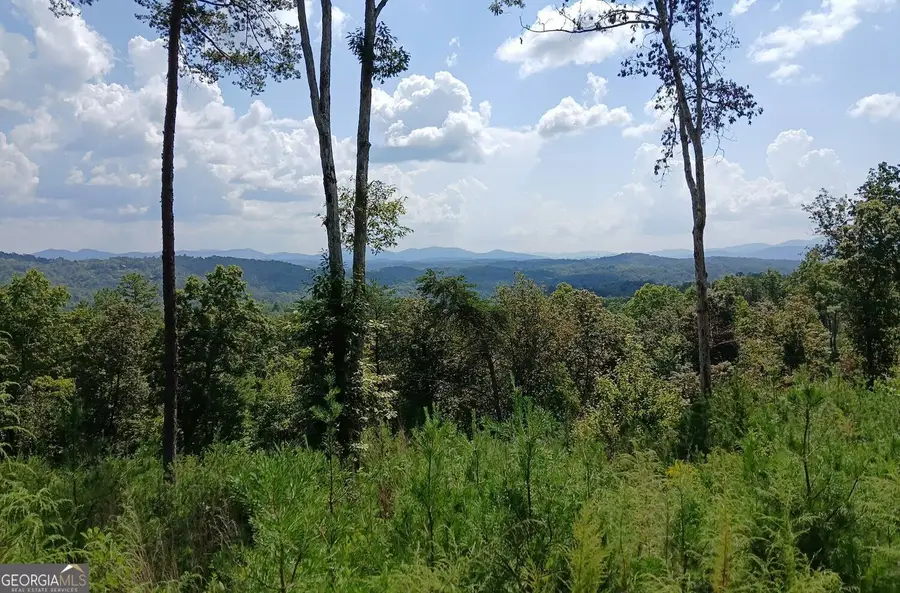 LOT 23 Mountain Laurel Ridge, Mineral Bluff, GA 30559 - #2