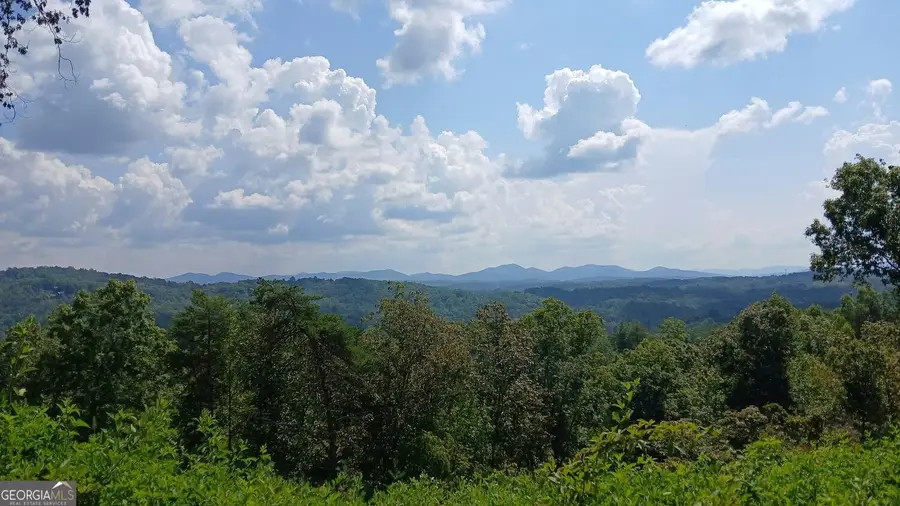 LOT 23 Mountain Laurel Ridge, Mineral Bluff, GA 30559 - #3