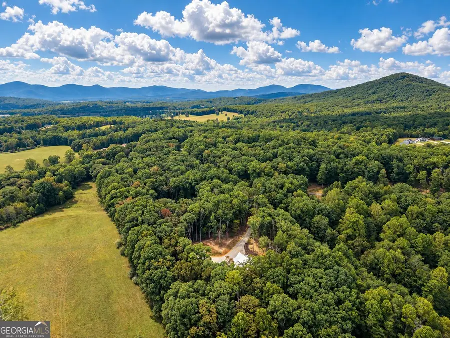 392 Mustang Trail, Blairsville, GA 30512 - #3