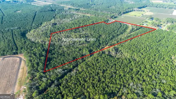 0 Us Highway 301, Claxton, GA 30417