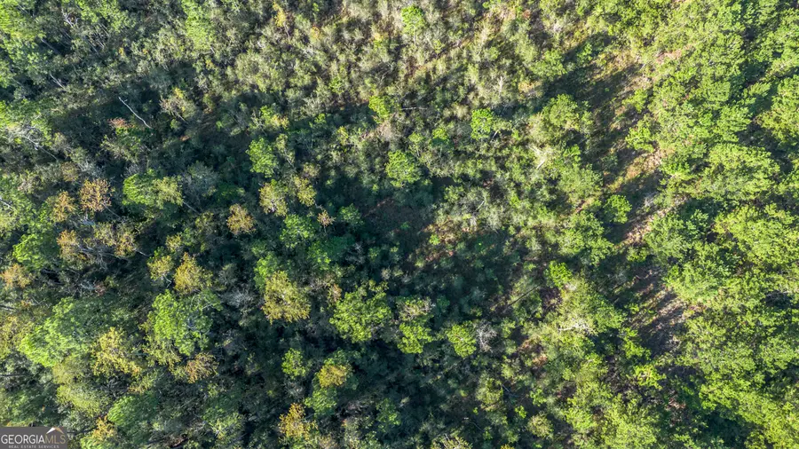0 Us Highway 301, Claxton, GA 30417 - #3
