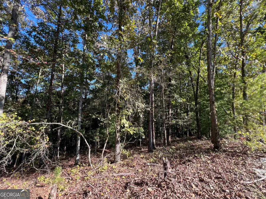 0 Rebekah Ridge Road, Talking Rock, GA 30175 - #2