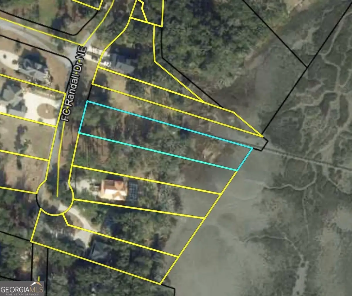 LOT 17 Fc Randall Dr Ne, Townsend, GA 31331 - #1