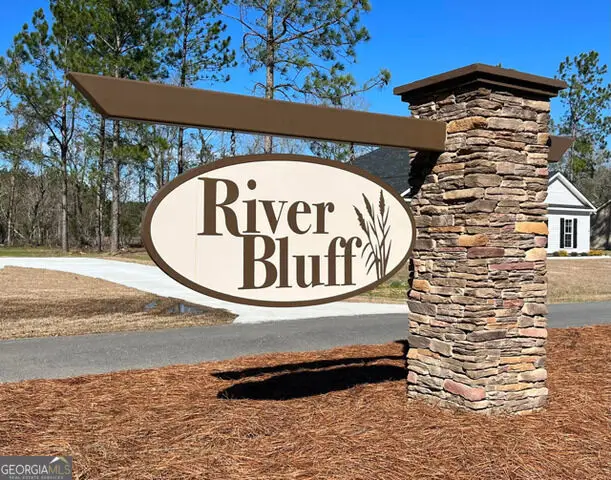 804 Oxbow Crossing #LOT 125, Ellabell, GA 31308 - #3