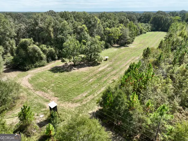 0 Abbeville Highway, Pineview, GA 31071
