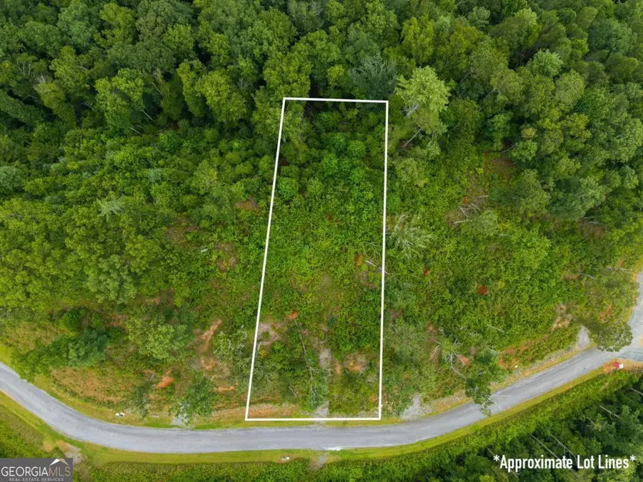 LOT 84 Jakes Landing Way, Ellijay, GA 30540 - #2