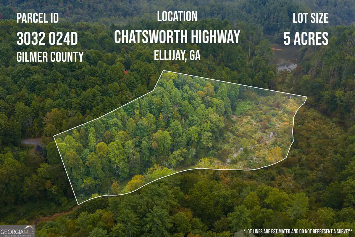 LT14-17 Conasauga Drive, Ellijay, GA 30540 - #1