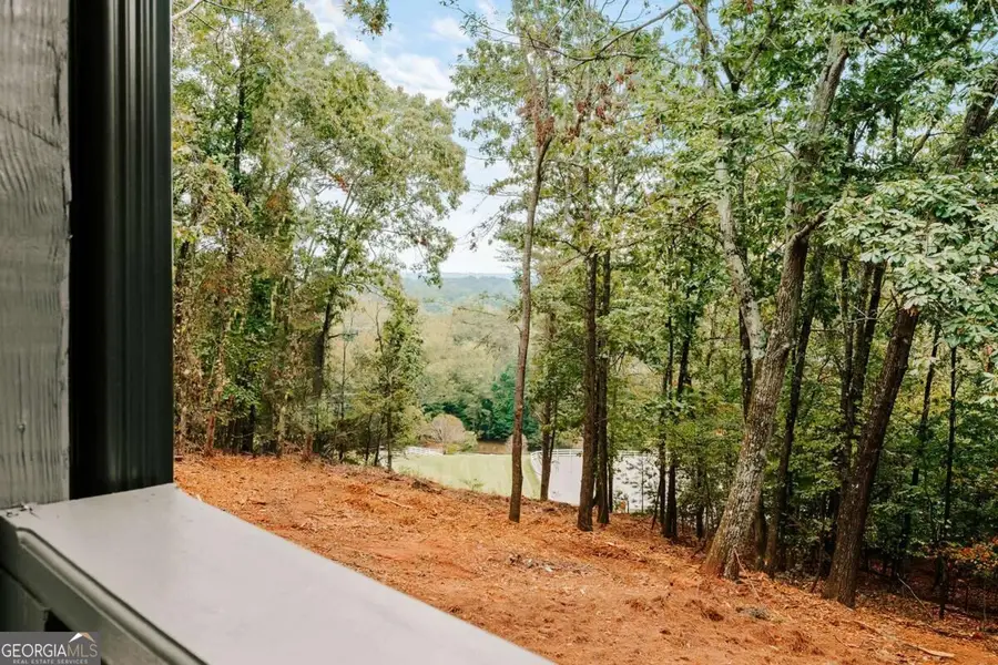 7820 Bethel Road, Gainesville, GA 30506 - #3