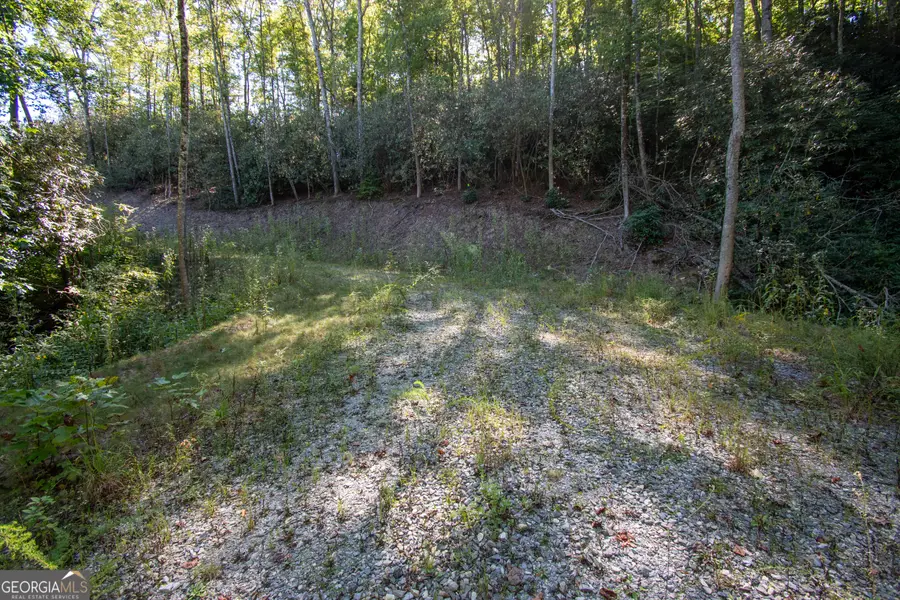 00 Upper Sawyers Creek Road, Robbinsville, NC 28771 - #2