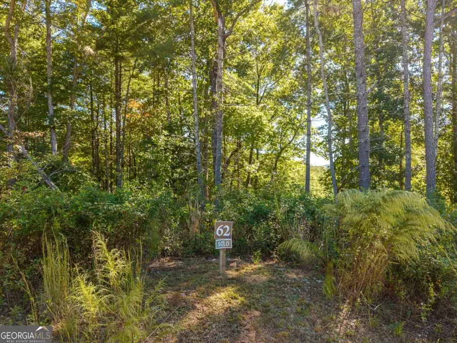 LOT 62 Ridge Drive #62, Blue Ridge, GA 30513 - #2