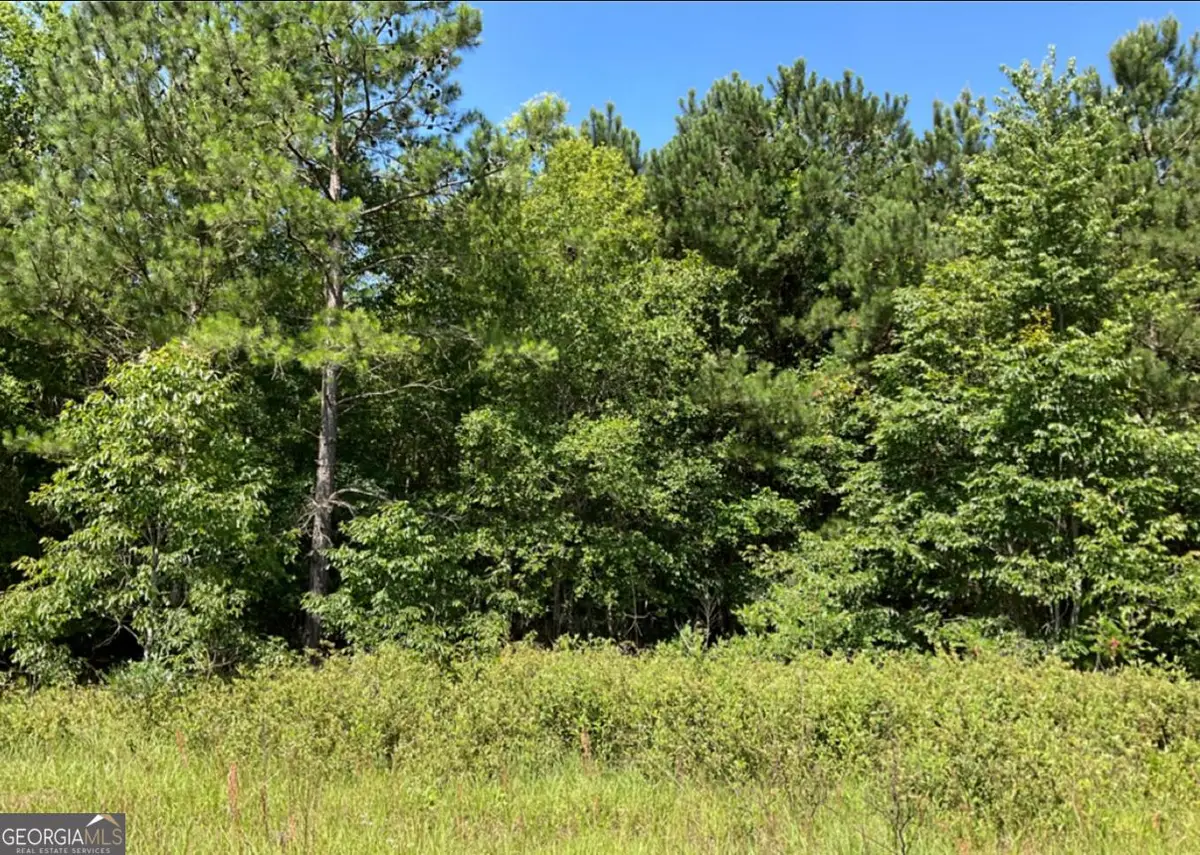 0 High Crest Lane, Hawkinsville, GA 31036 - #1