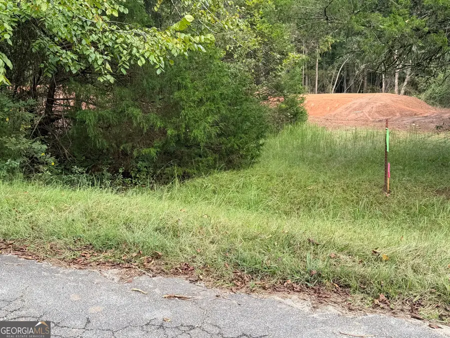 100 Winding Lane, Locust Grove, GA 30248 - #2