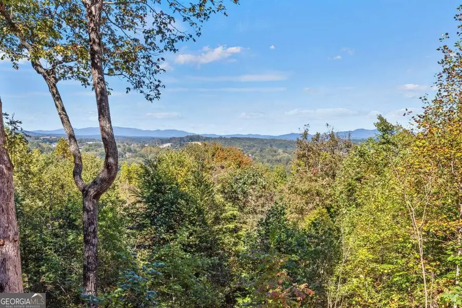279 High Point Trail, Blue Ridge, GA 30513 - #3