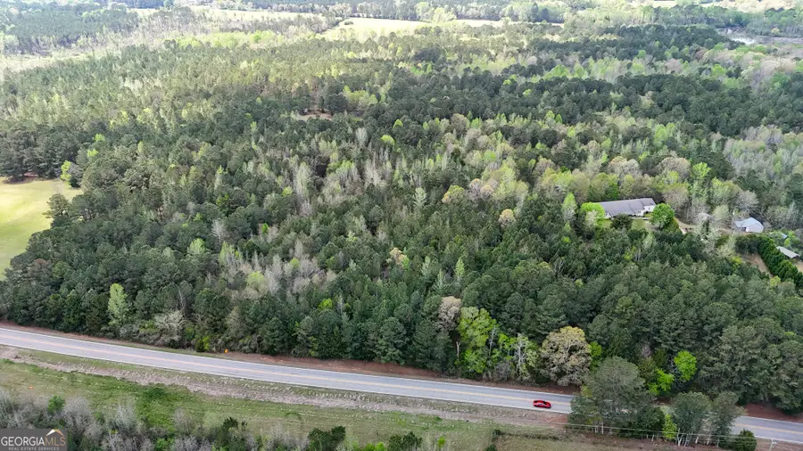 0 Hamilton Road, Pine Mountain, GA 31822 - #2