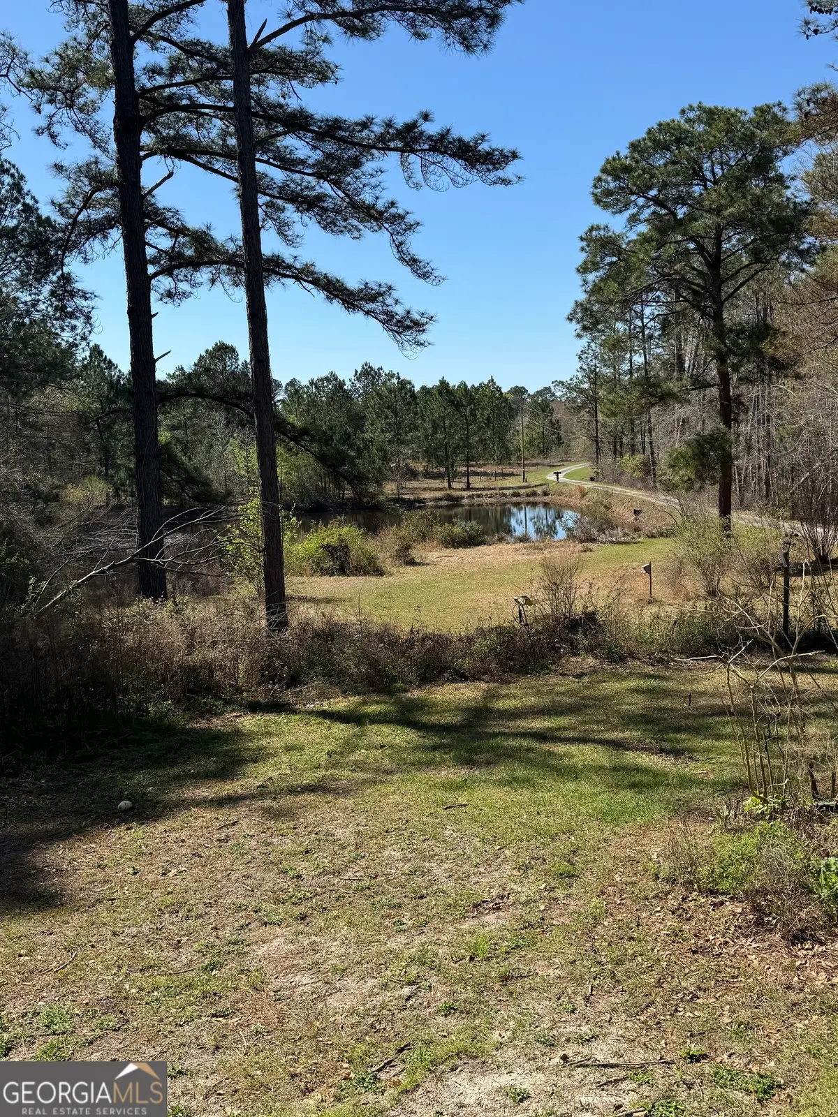 442 Fox Run Road, Adrian, GA 31002 - #1