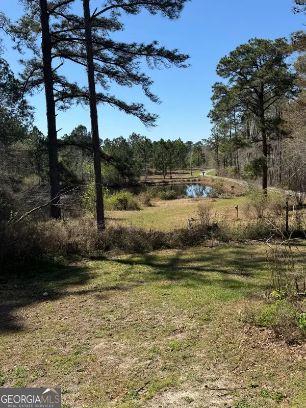 442 Fox Run Road, Adrian, GA 31002