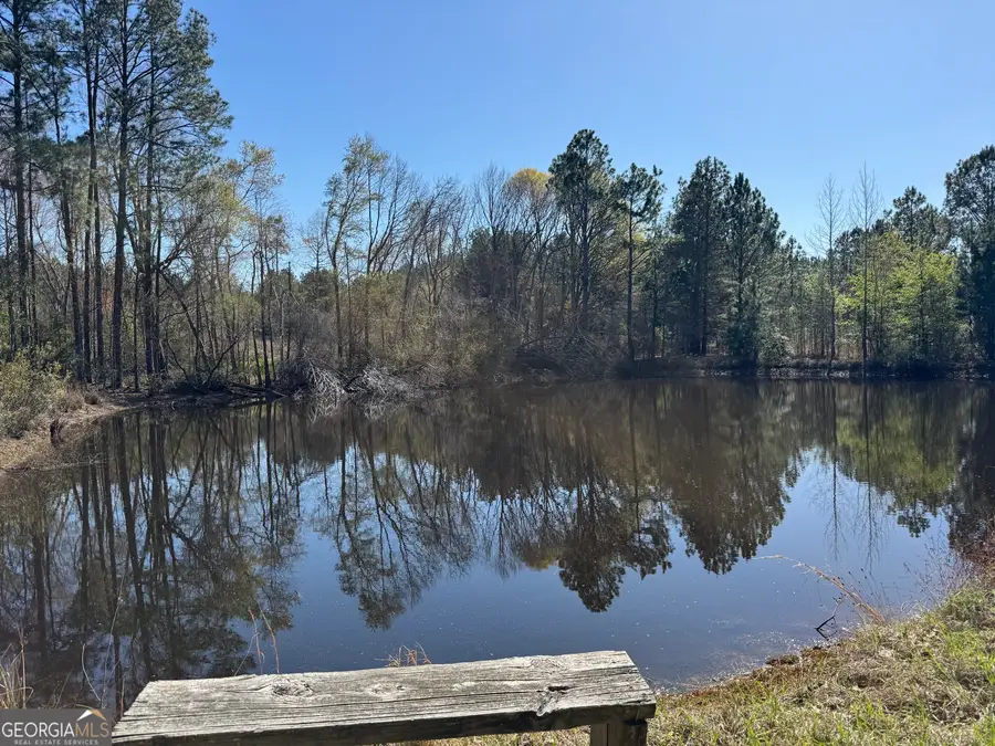 442 Fox Run Road, Adrian, GA 31002 - #3