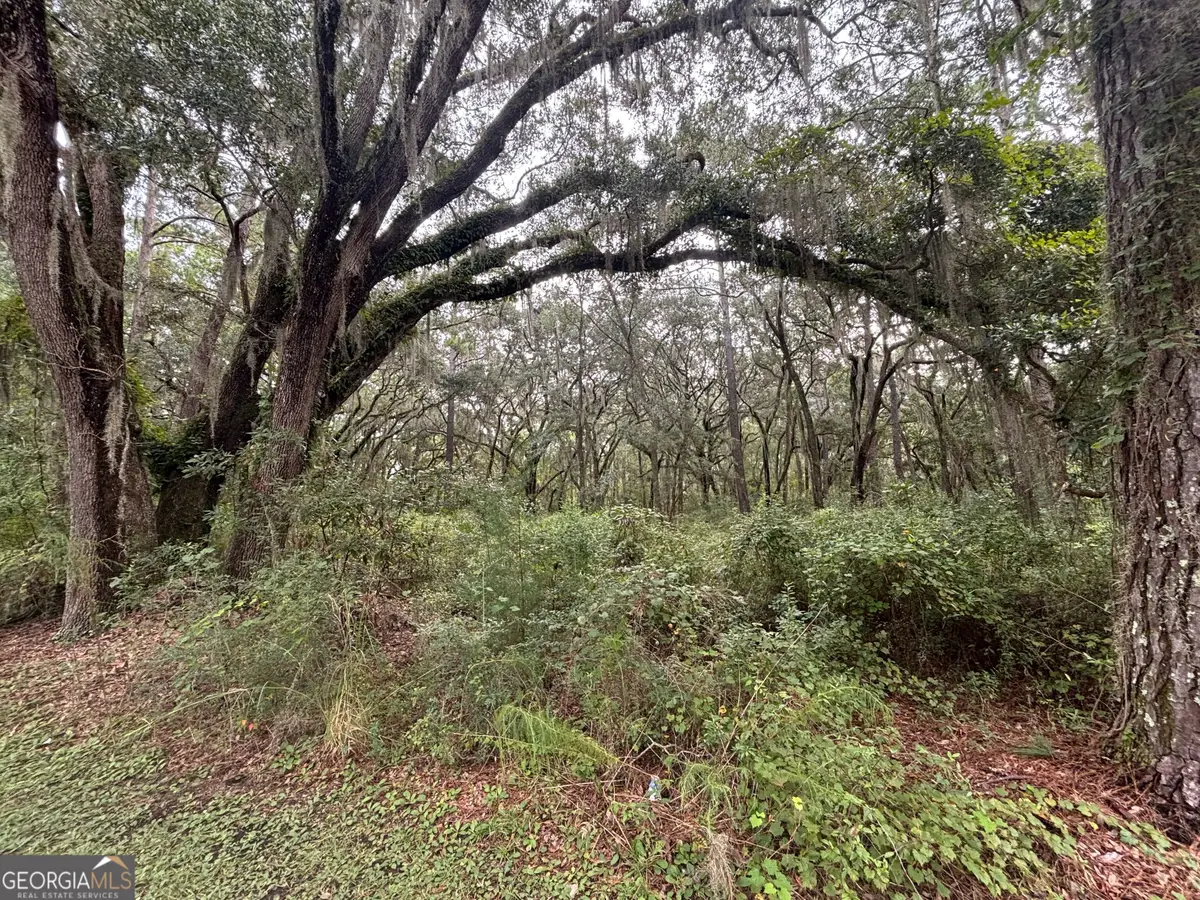 LOT 4 Carnochan Lane, Darien, GA 31305 - #1