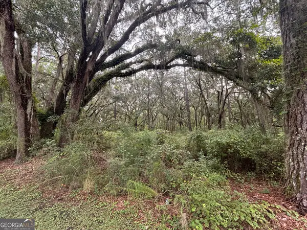 LOT 4 Carnochan Lane, Darien, GA 31305