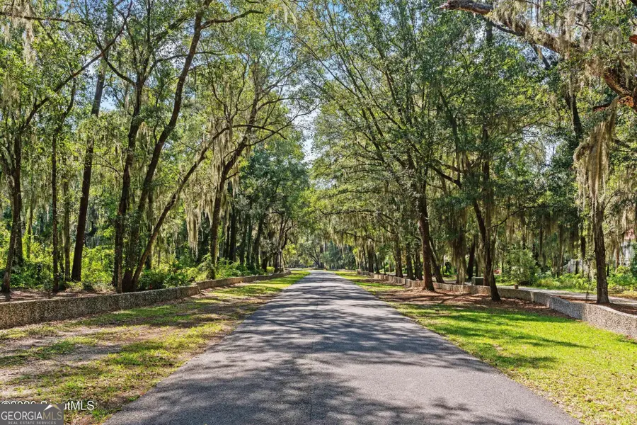 LOT 4 Carnochan Lane, Darien, GA 31305 - #2