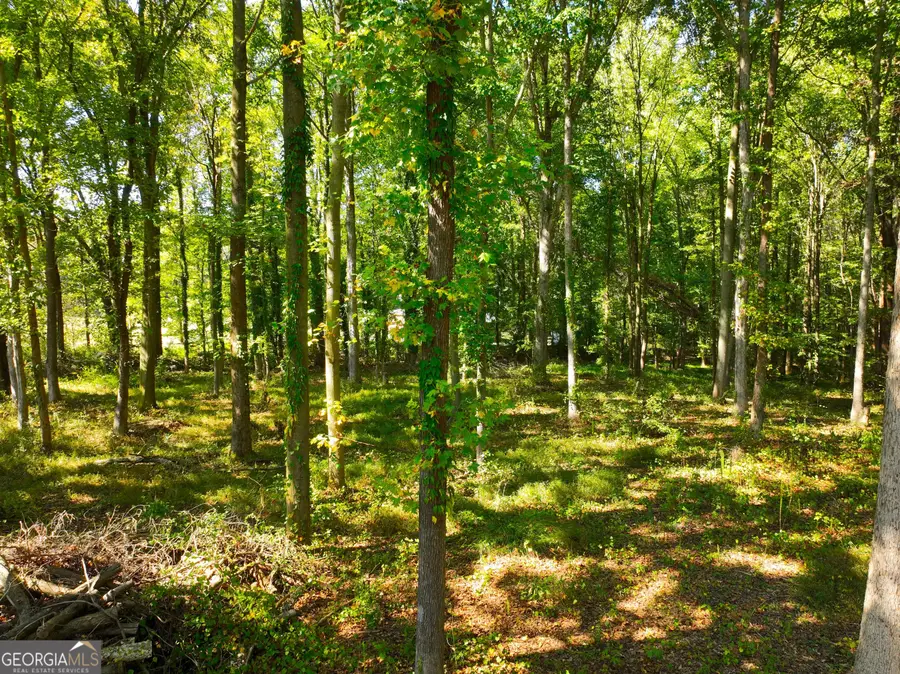 186 Doyle Road, Bowersville, GA 30516 - #3