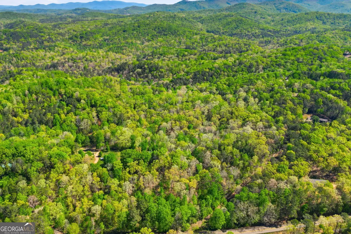 1933 Highway 136 W, Talking Rock, GA 30175 - #1