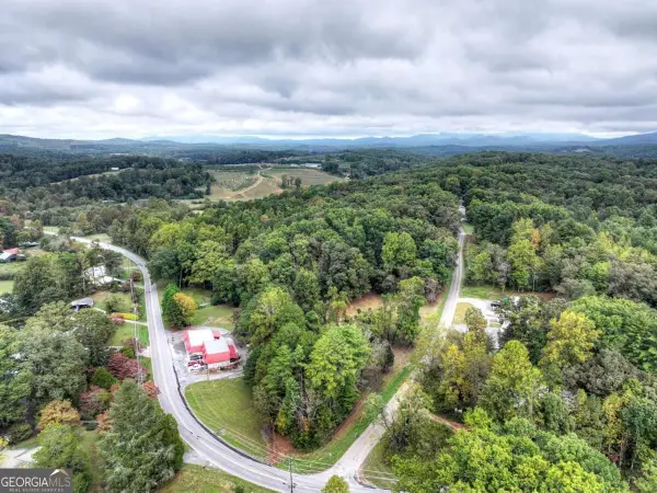 TR 2 Davis Road, Blue Ridge, GA 30513