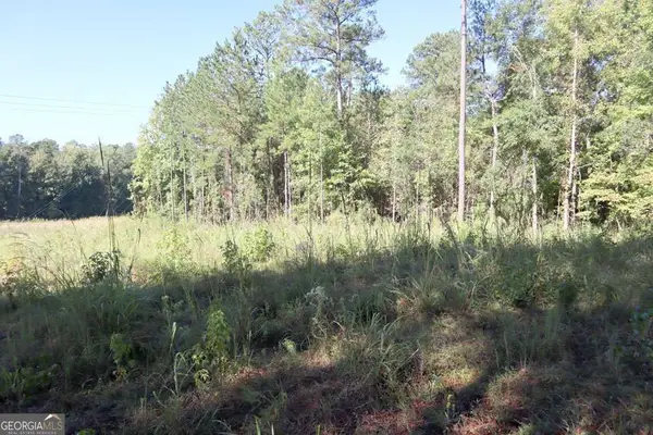 287 Lake Sinclair Drive Sw, Sparta, GA 31087