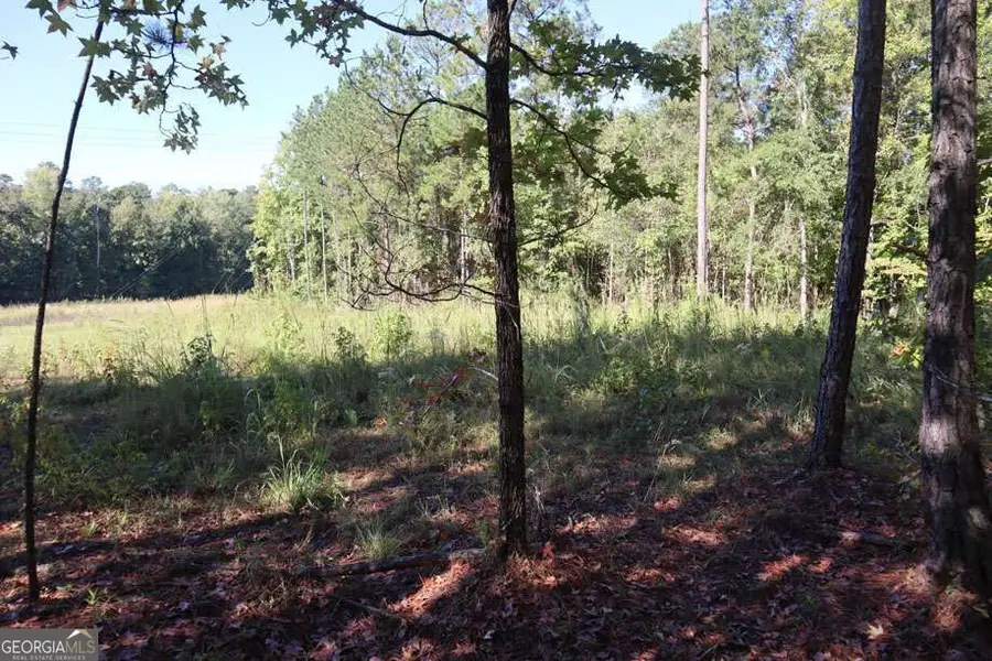 287 Lake Sinclair Drive Sw, Sparta, GA 31087 - #3