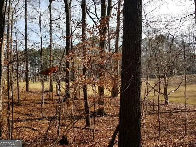 104 Hawks Court, Ball Ground, GA 30107 - #3