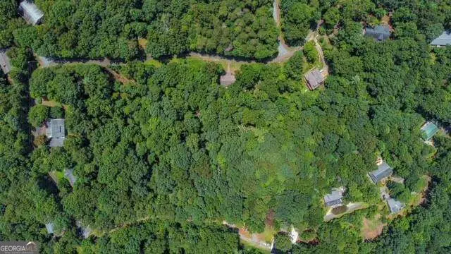 130 Talon Way, Ball Ground, GA 30107 - #1