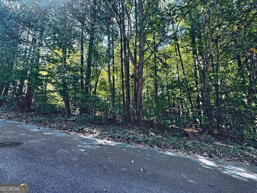 3349 Confederate Point, Canton, GA 30115 - #3