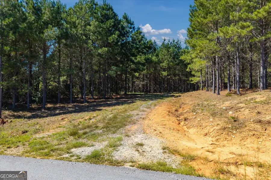 0 Steadman Lane, Tallapoosa, GA 30176 - #3