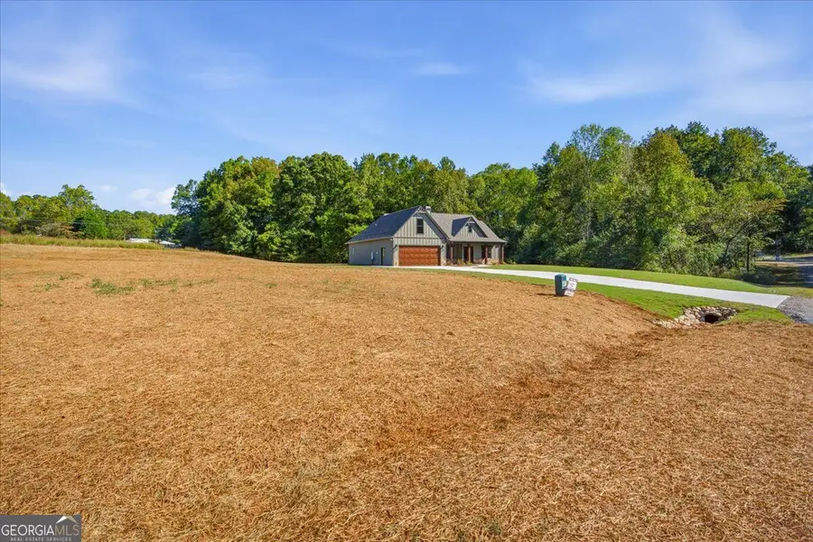 61 Goodman Path, Temple, GA 30179 - #3