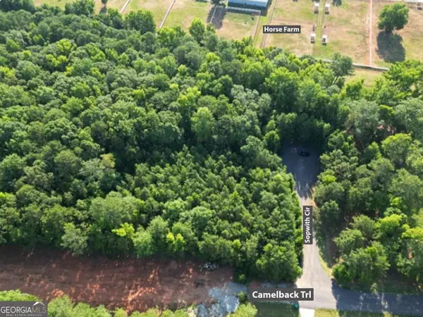 369 Canvasback Trail #147, Locust Grove, GA 30248