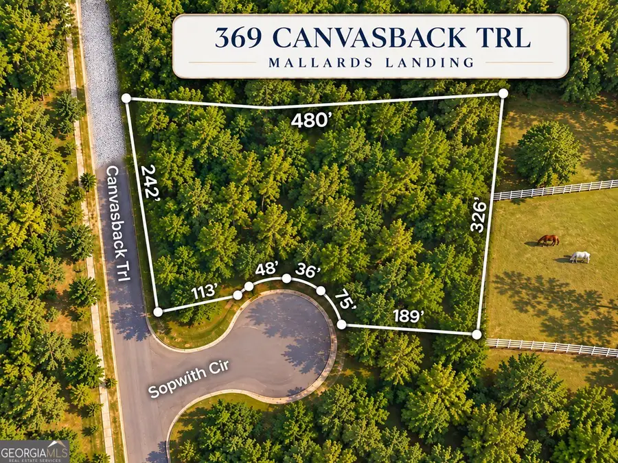 369 Canvasback Trail #147, Locust Grove, GA 30248 - #2