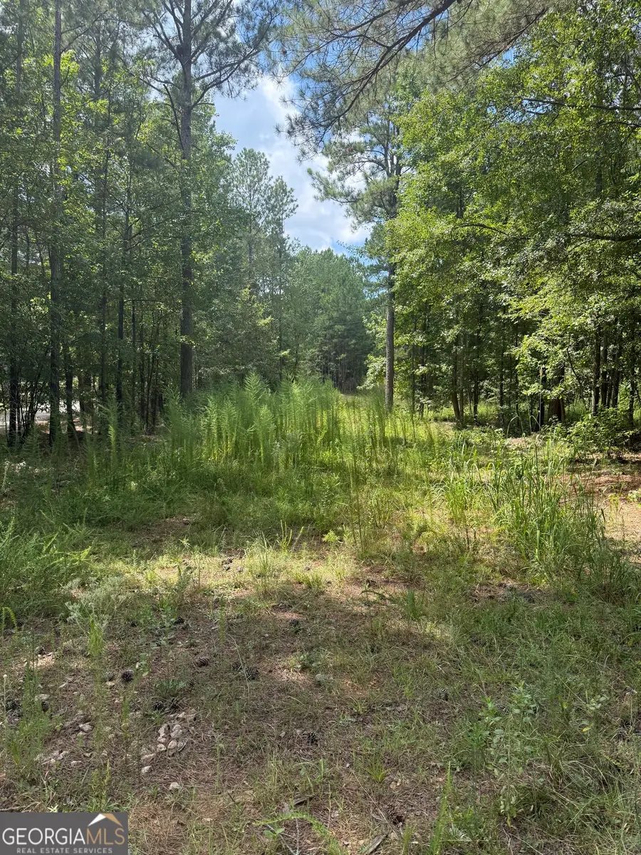 460 Yarbrough Mill Road, Locust Grove, GA 30248 - #3