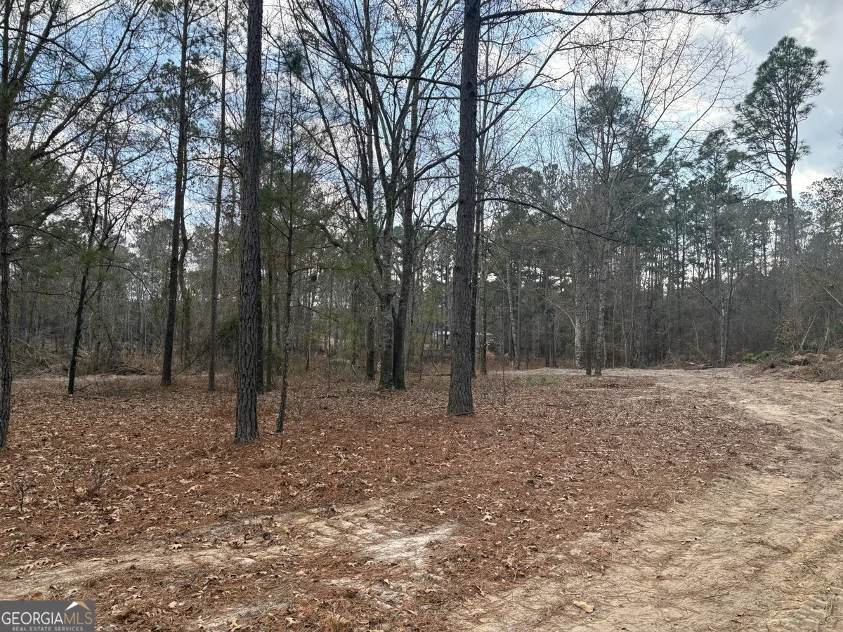0 Ga Hwy 338 (taylor Grocery Rd), Cadwell, GA 31009 - #1