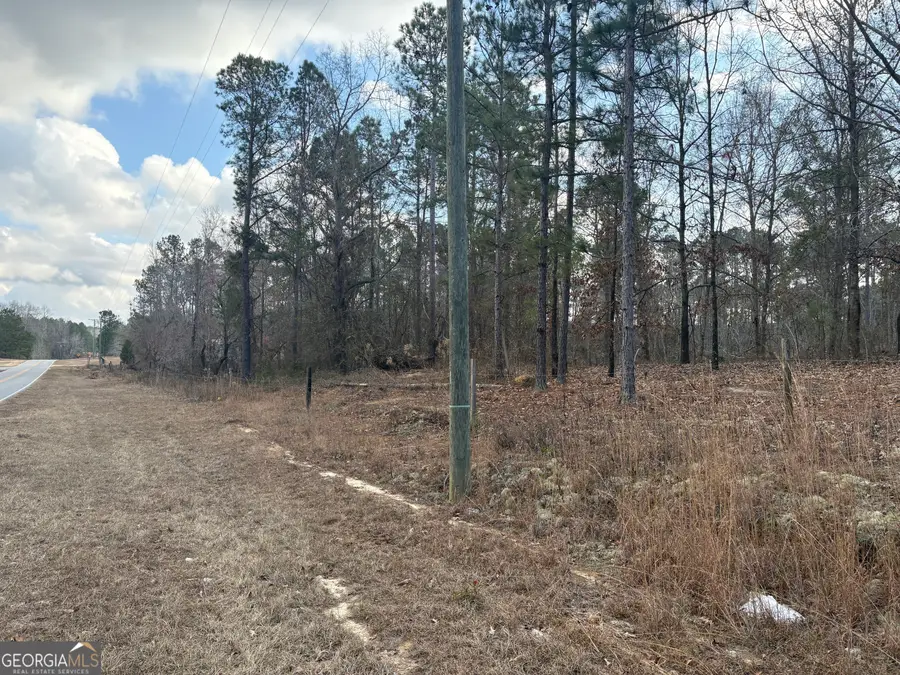 0 Ga Hwy 338 (taylor Grocery Rd), Cadwell, GA 31009 - #3