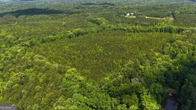 0 Maria Lane, Ellerslie, GA 31807 - #2