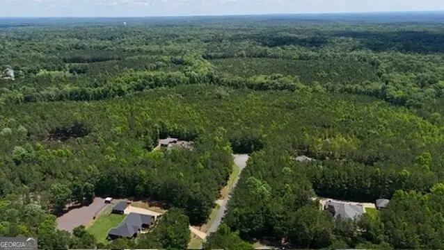 0 Maria Lane, Ellerslie, GA 31807 - #3