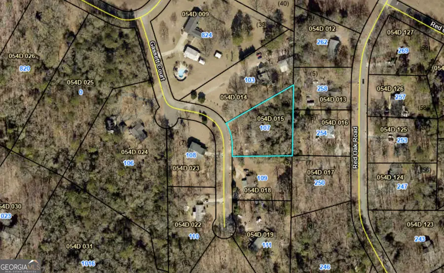 107 Gassett Court, Byron, GA 31008 - #3