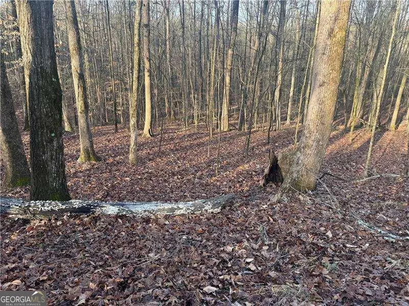 0 Indian Creek Trail, Madison, GA 30650 - #2