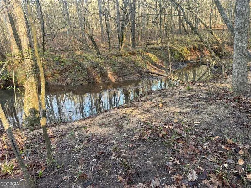 0 Indian Creek Trail, Madison, GA 30650 - #3