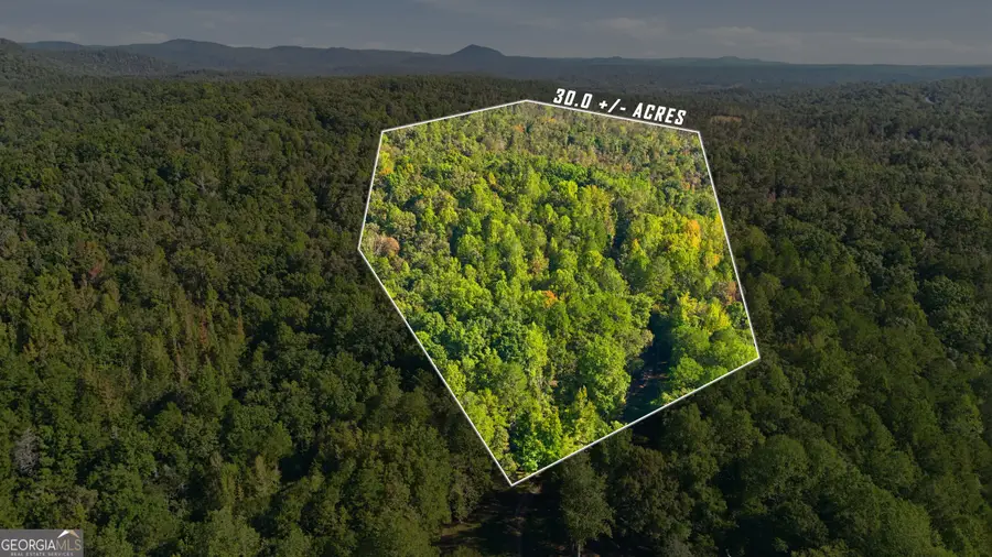 288 Sanctuary Drive, Toccoa, GA 30577 - #2