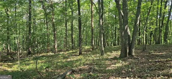 0 Firetower Road, Jasper, GA 30143
