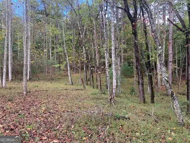 LOT 132 Fox Cove Road, Blairsville, GA 30512 - #2